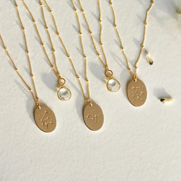 Virgo Minimalist Zodiac Charm Oval Disc Necklace - Picture 4 of 12